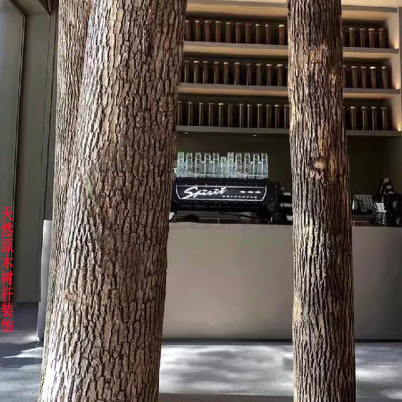 天然香樟树杆造型漫咖啡厅餐厅枯木装饰摆件橱窗造景去皮干树枝