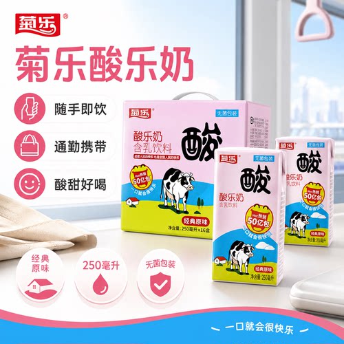 菊乐酸乐奶250ml*16盒整箱早餐