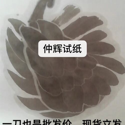 仲辉工皮宣加墨半手檀特净艺考书法山水花鸟鱼虾厚痕四尺六尺生宣