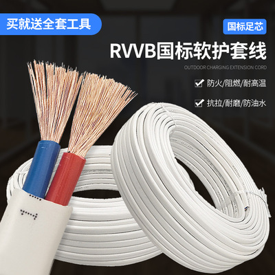 国标RVVB5线二芯1.方 2.5 4 6平电工程防水防冻足芯电缆线护套线