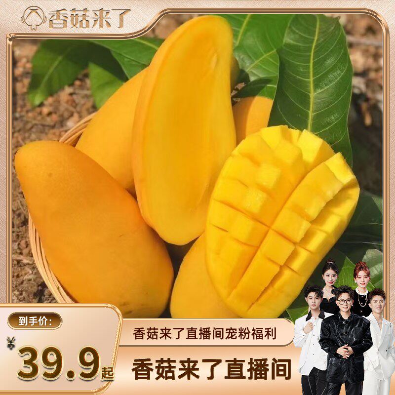 【香菇来了】海南金煌芒皮薄肉厚香甜多汁新鲜青皮发货到货需催熟