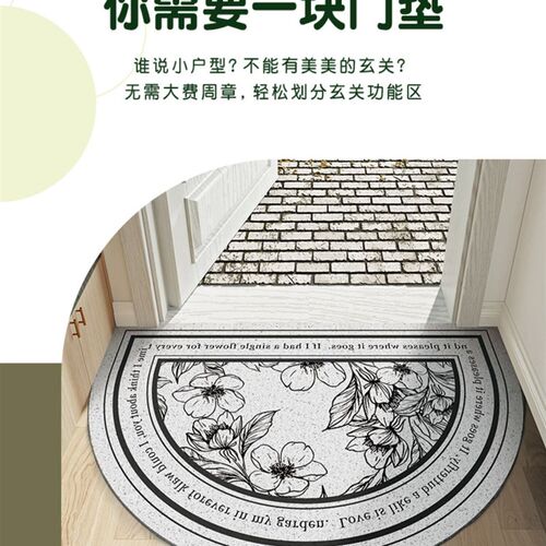 入户门家用玄关进门垫耐脏防滑丝圈地毯可冲洗蹭土进门地垫子