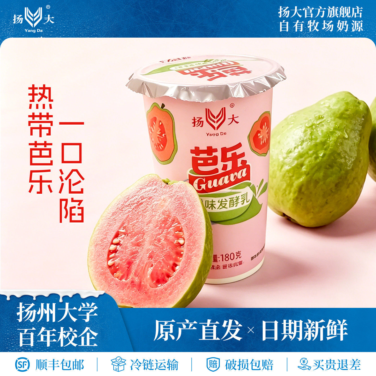 扬大酸奶扬州大学网红芭乐低温酸奶生牛乳茉莉花酸牛奶原味发酵乳