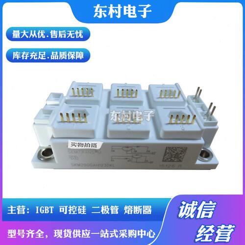 甄选全新SKM200GAH123DKL SKM200GAH126DKL 整流器模块现货