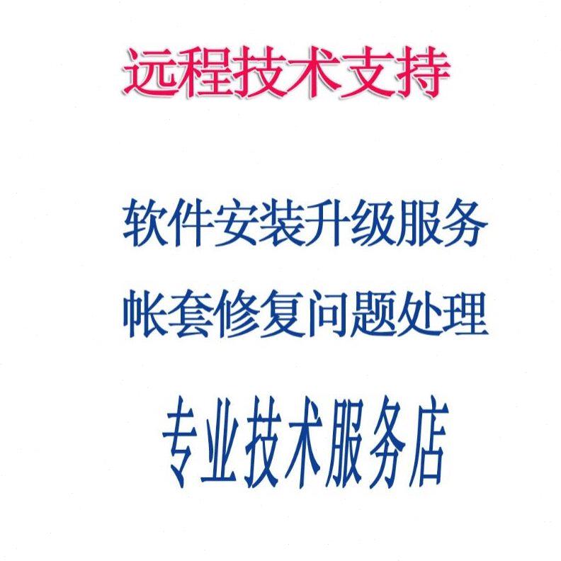 甄选T3标准版/普及版财务软件安装技术维护服务据制作2022服务维