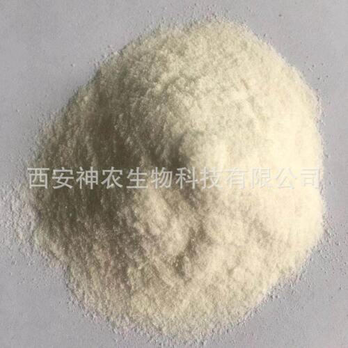 甄选纳豆激酶20000FU/g 纳豆提取物 纳豆发酵来源水溶 纳豆冻干粉