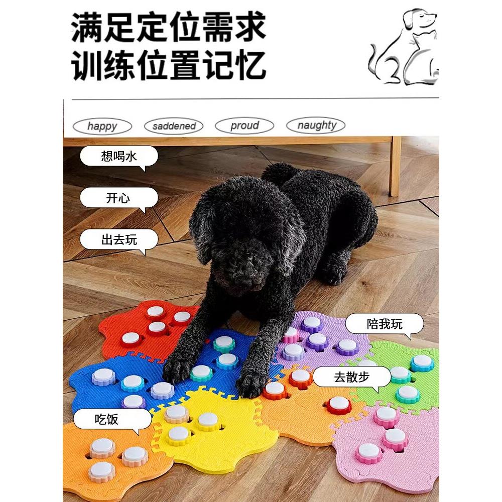 宠物交流按钮充电迷你款狗狗按键猫咪说话按钮录音发声按铃训练器