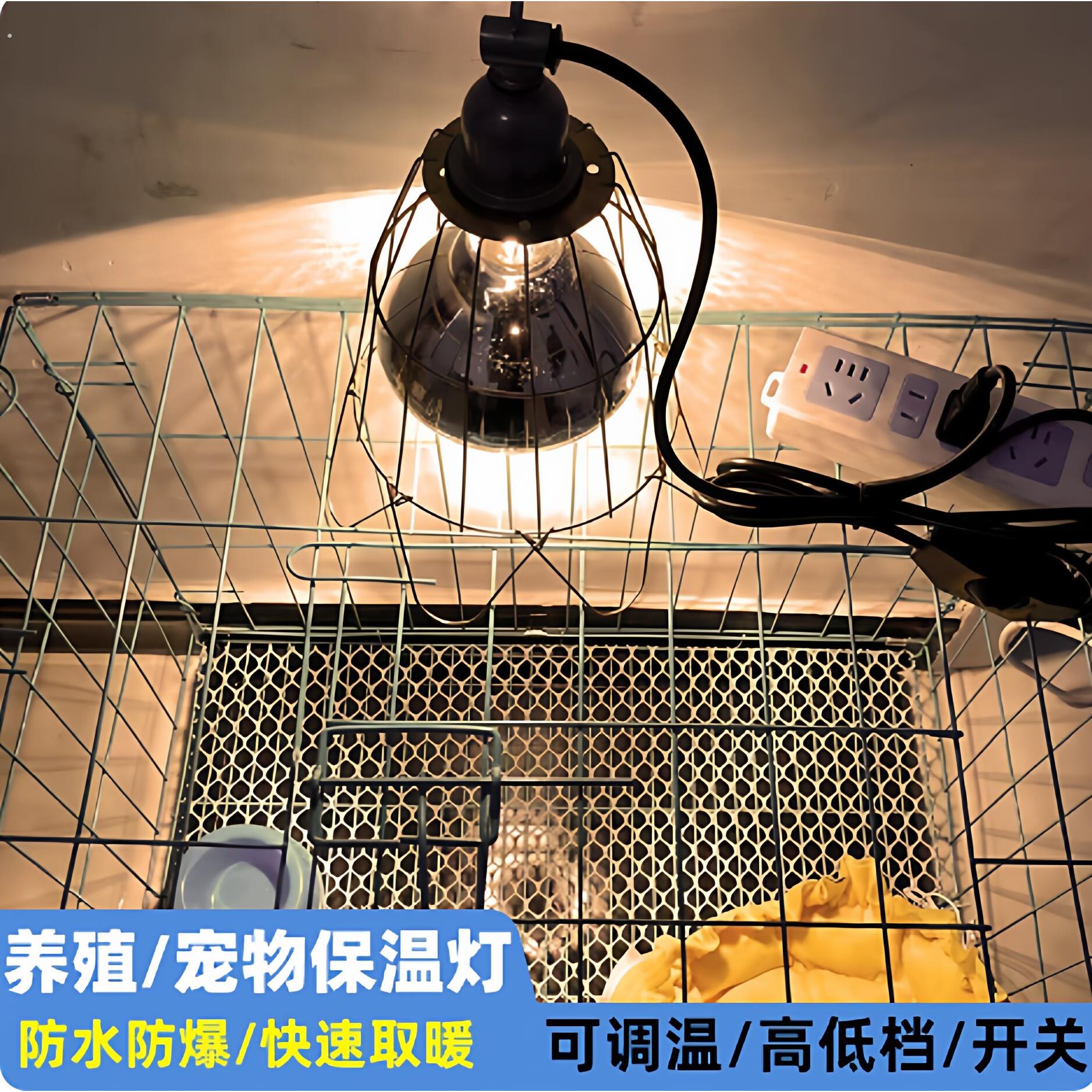 宠物取暖灯兽用动物保温灯套装鸡苗仔猪取暖灯泡可调温度加热带线