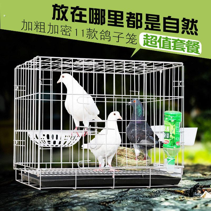 鸽子笼配对笼繁殖鸽子笼家用养殖鸽子笼折叠加密笼运输鸽笼可