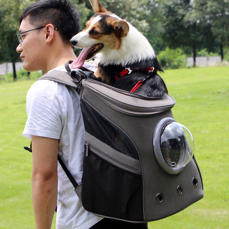 狗狗背包宠物外出便携包包狗用双肩书包装柯基柴犬外带的猫包大号