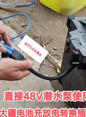 T20/16/30/40/50慢充电取电插头家用冲电保养电4 池8V水泵供电