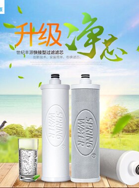世纪丰源10寸快接式滤支饮水机净水器PP棉颗性炭烧结活粒炭3芯装