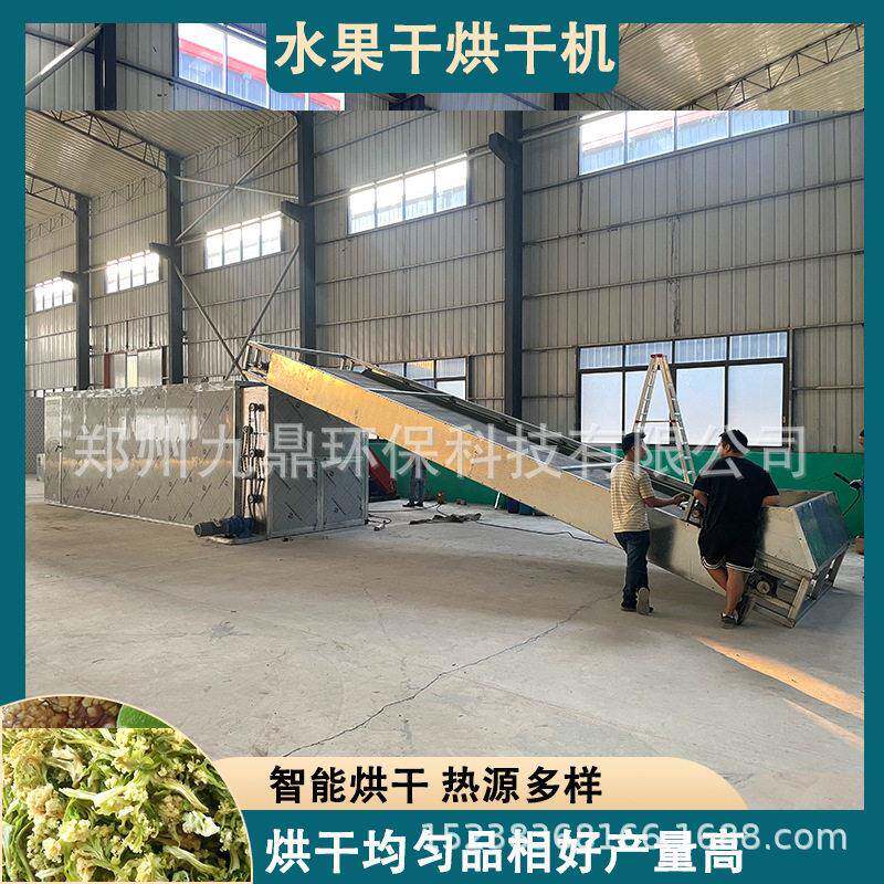 水果干烘机干蔬菜脱水干燥设备水苹果干干燥机履带式多层烘干设备