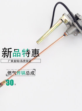 燃气油炸锅点火炉关总成点火器火炸开点火总成鱼丸炉电子点 总成