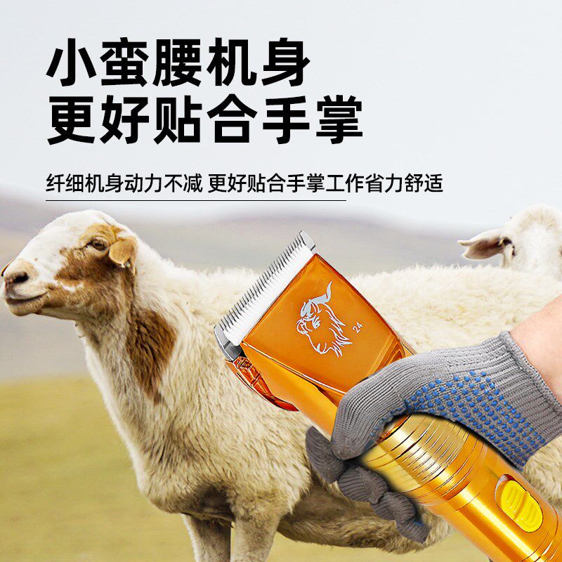 力狼36V大功率剃羊毛电推剪子电动羊毛剪剃绵羊山羊大型犬宠物狗