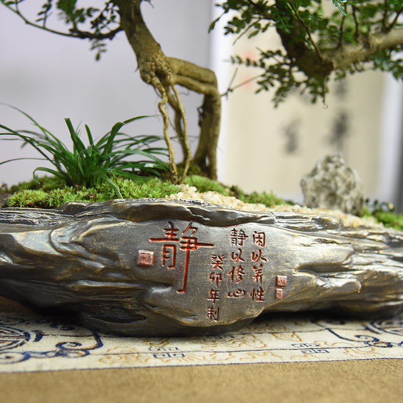 禅意/意境 飘枝清香胡椒木盆栽造型中式古风植物室内观赏盆景绿植