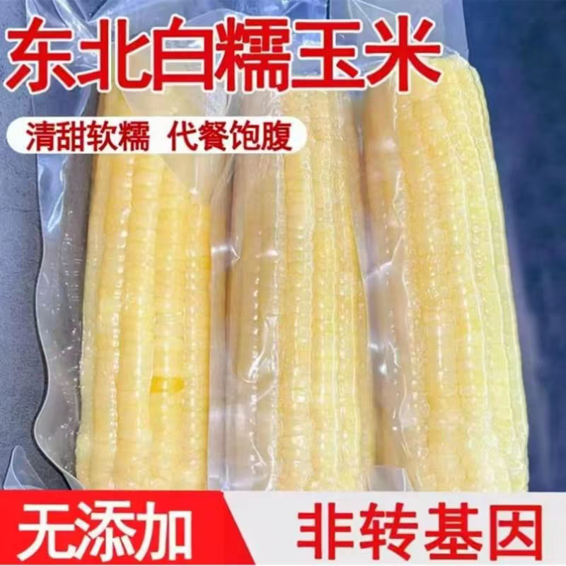 网红东北糯玉米新鲜甜糯玉米真空包装糯甜玉米棒代餐批发