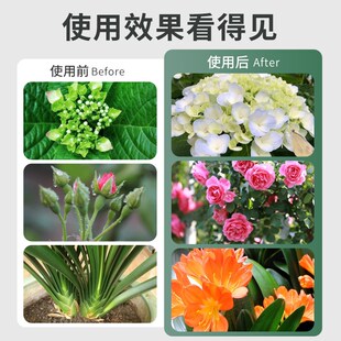 贝可施精纯爆花粉花肥养花专用肥料兰花家用盆栽通用茉莉花月季花