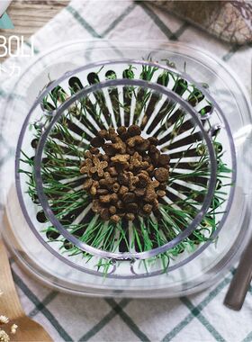 MOBOLI猫卜力猫草碗猫碗猫草杯秘密森林斜口猫咪食盆喝水盆猫狗碗