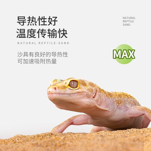 WACOOL玩酷爬沙爬宠沙钙沙陆龟守宫蜥蜴饲养箱造景冬季冬眠用品
