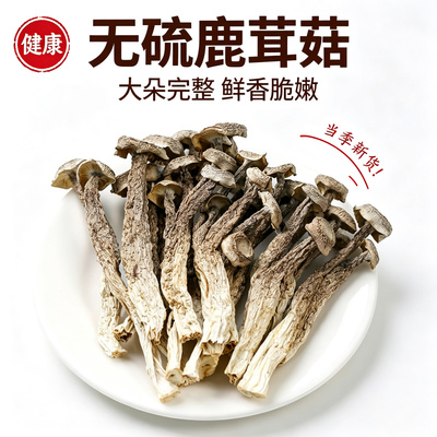 福建鹿茸菇干货无添加肉质厚实