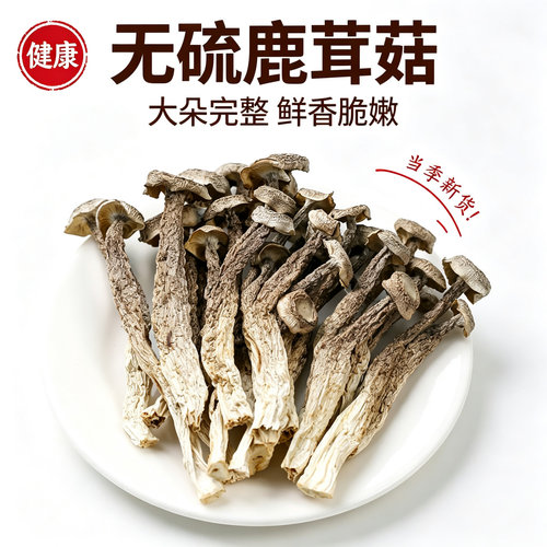 福建鹿茸菇干货无添加肉质厚实