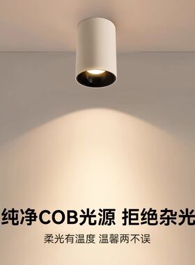le明装筒灯圆形cob吸顶射灯过道背景墙客厅餐厅免开孔防眩筒灯