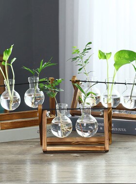 创意木架水培植物玻璃花瓶桌面装饰品办公室摆件水养绿萝插花容器