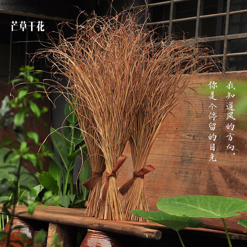 天然橱窗干花拍摄道具干草文的花束桌面饰装风干花束送男友艺花束