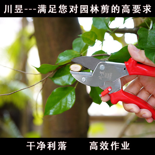 川昱新款202修枝剪园林果树剪刀粗枝花剪省力果树剪园艺剪盆景剪