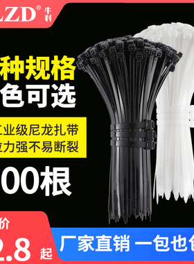 尼龙扎带塑料扎带100条白色自锁式绑扎带大号强力卡扣束线带厂家