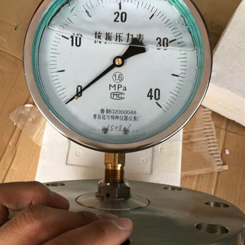 YTNP100MF耐震法兰隔膜压力表DN100青岛冠力特种仪器仪表厂