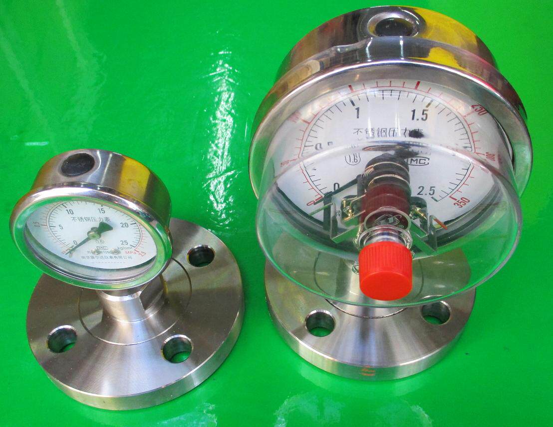 防腐压力表 不锈钢  Y100BF 100mm 2.5mpa  25公斤压力 牙m20*1.5