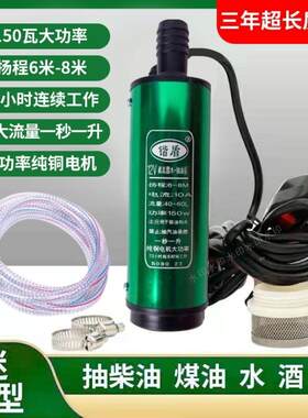 电动抽油泵油抽子 12V220伏油泵大功率抽油泵柴油油泵水泵潜水泵