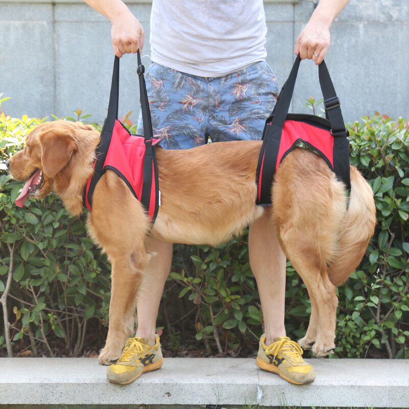 宠物辅助安全带牵引后腿无力肌肉萎缩高龄病犬残疾犬步行助力带