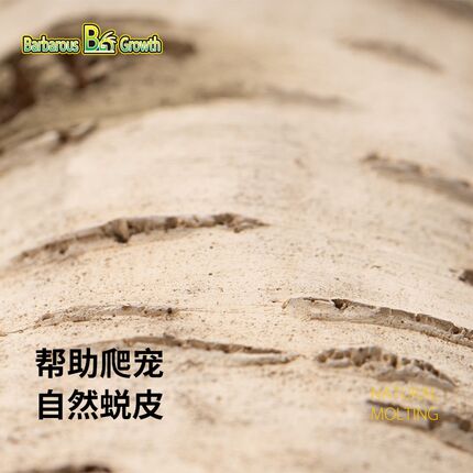 爬虫躲避饲养箱蛇缸造景蜥蜴守宫躲避屋爬宠攀爬洞穴角蛙躲避洞