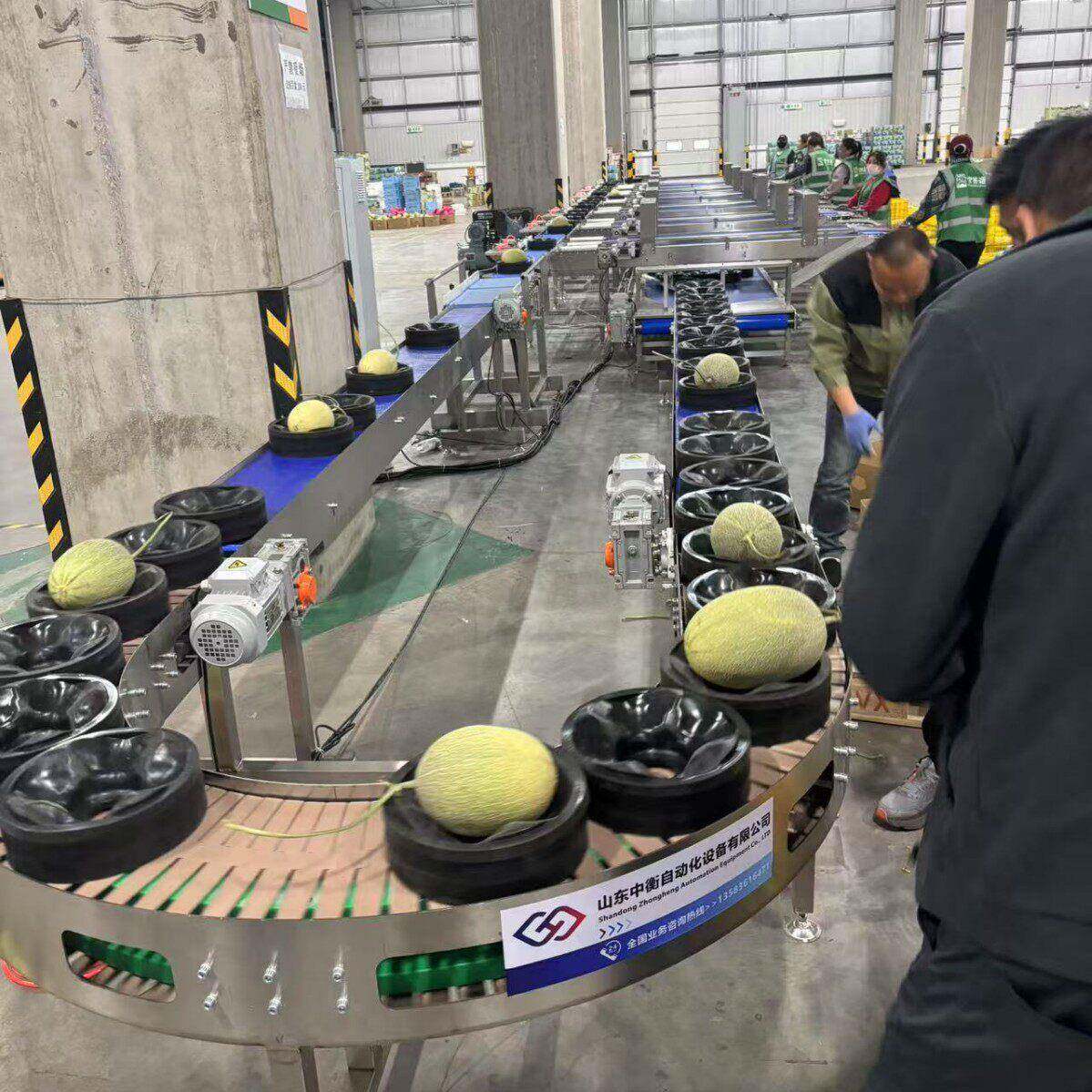 供应西瓜瓜重量分商选用蜜瓜麒麟分大小设备无损西瓜分选机器