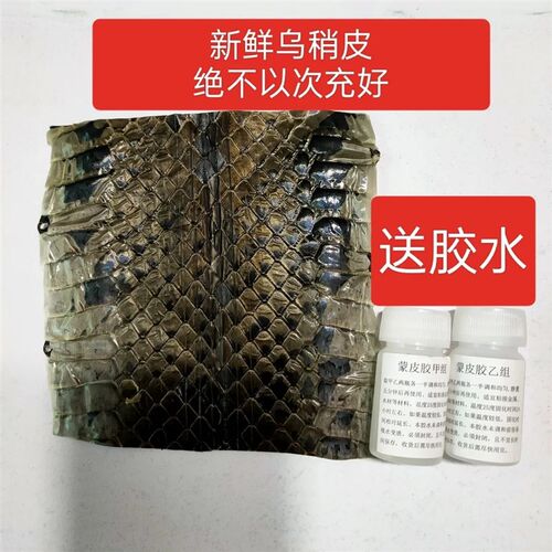 乐器配件乌稍皮中段单块蛇皮京胡四胡蒙皮材料京二胡越胡胡琴手工
