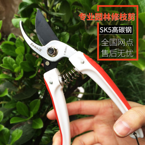 奥迈克113修枝剪园林园艺工具花枝剪修剪盆景果树枝省力剪刀