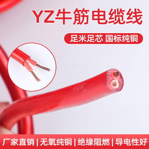 户外工作三芯电源线插排线2芯2.5平方4方 纯铜防冻防水牛筋电缆线