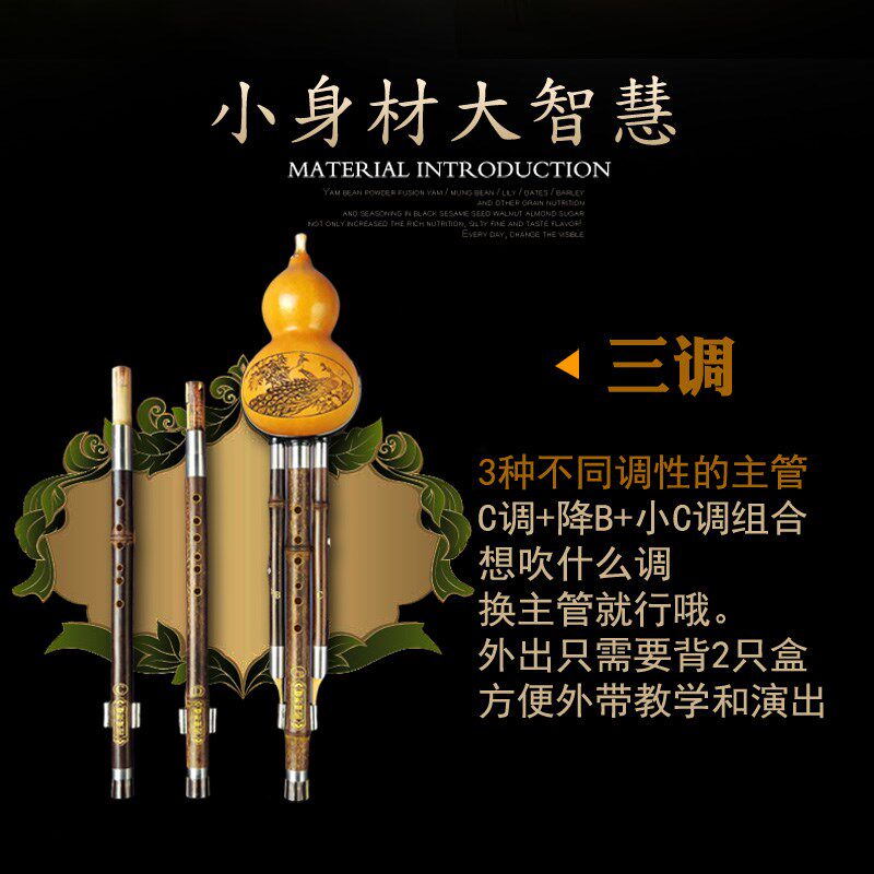 云新双调组合葫芦丝专业演奏型降b调c调小学生专用初学者吹奏乐器