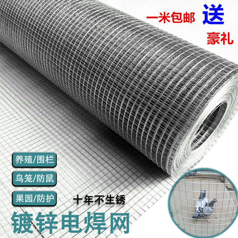 佰固铁丝网多栏养殖网片阳台围肉防护栏鸡鸽兔镀鸟笼蛇锌电焊网格