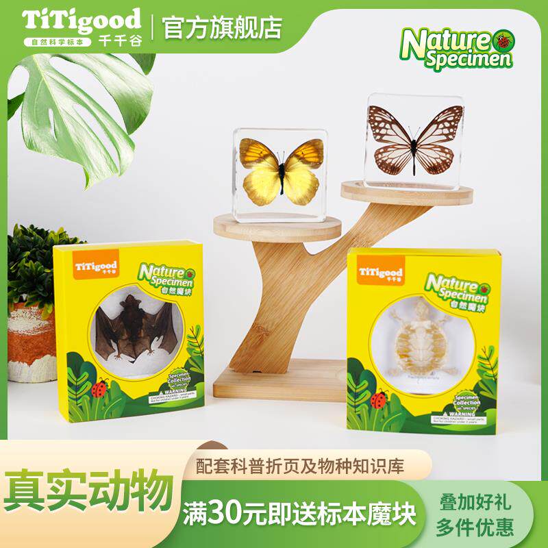 千千谷乌龟蝴蝶真虫树脂标本海洋动物昆虫自然魔块10岁儿童玩具