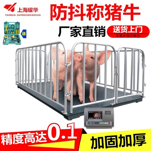 上海耀华地磅秤称猪牛羊防抖动带围栏1-3吨5吨工业小型电子地磅称