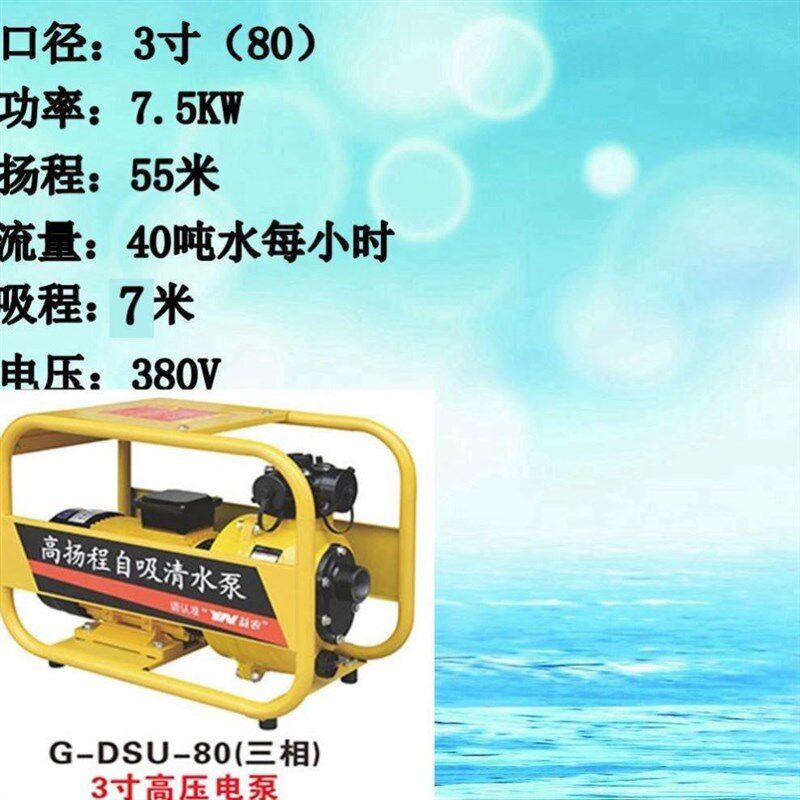 带遥控开关大流量自吸油泵DSU50/DSU80杨成20米22米25米55米60米