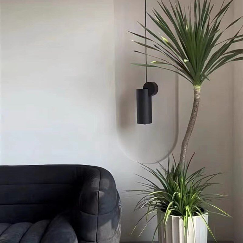 龙血树绿植大型网红盆栽造型客厅室内办公室龙须树发财树花卉盆景