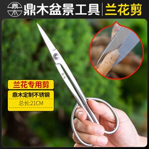 专用不锈钢工具造型盆景修芽剪叶芽剪分苗修剪修枝剪刀兰花兰花剪