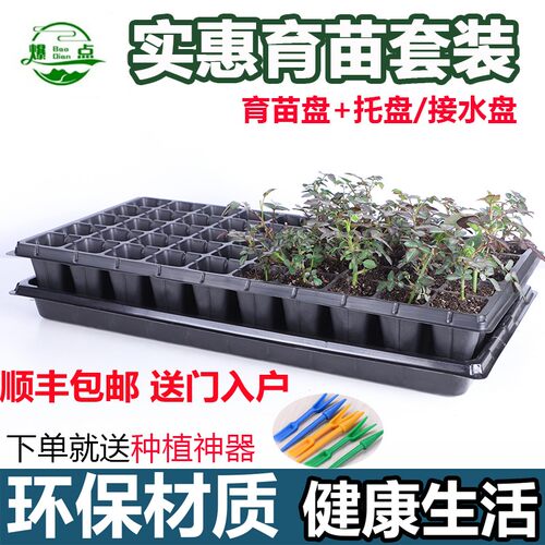 育苗盘套装育苗穴盘扦插盘育苗盆育苗神器蔬菜多肉营养盘育苗托盘