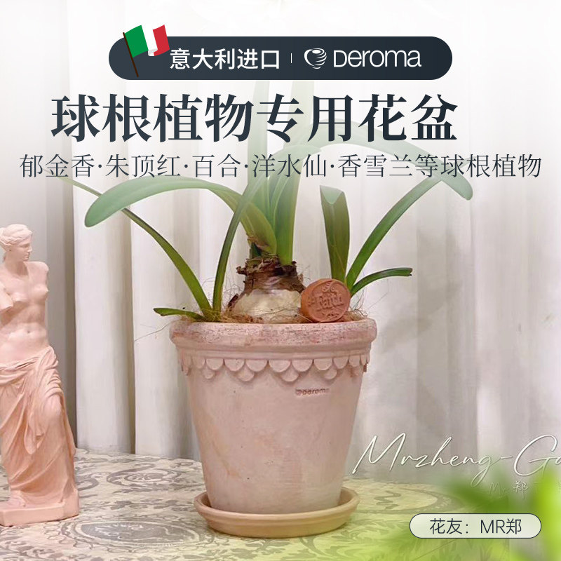 虹越帝罗马郁金香盆朱顶红花盆洋水仙陶盆红陶透气长方形种植盆栽