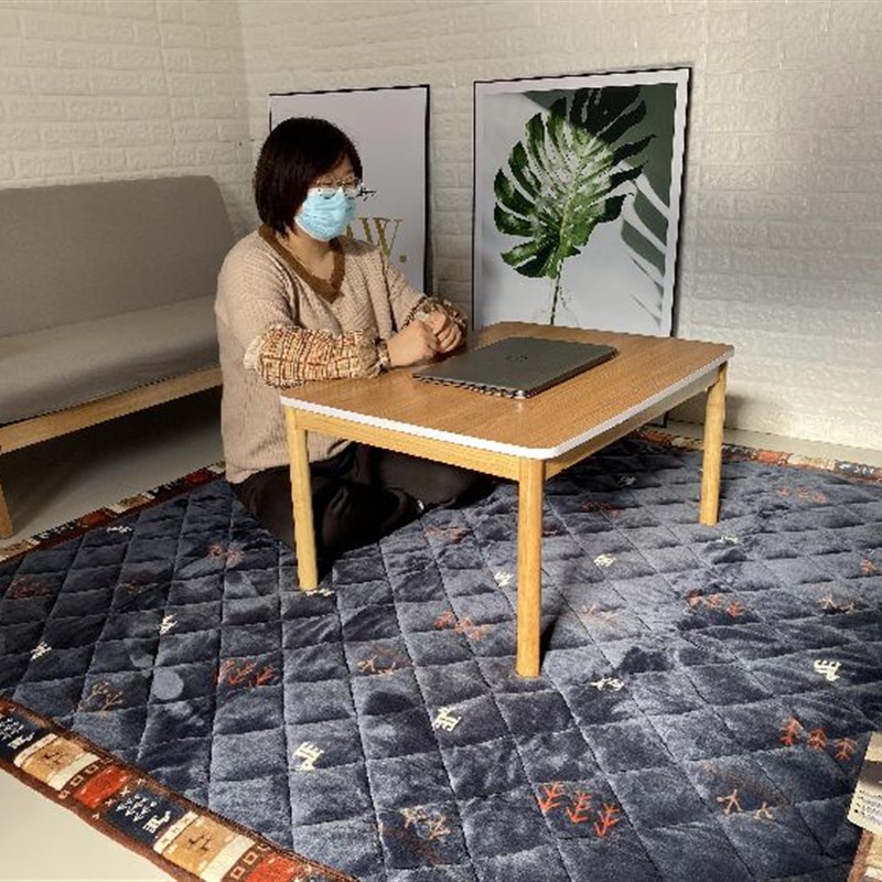 冬季法兰绒吸湿发热加厚地毯家用北欧简约茶几沙发地垫轻奢床边毯